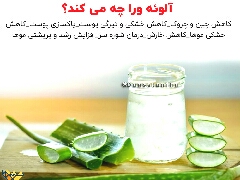آلوئه ورا و خواص آن 