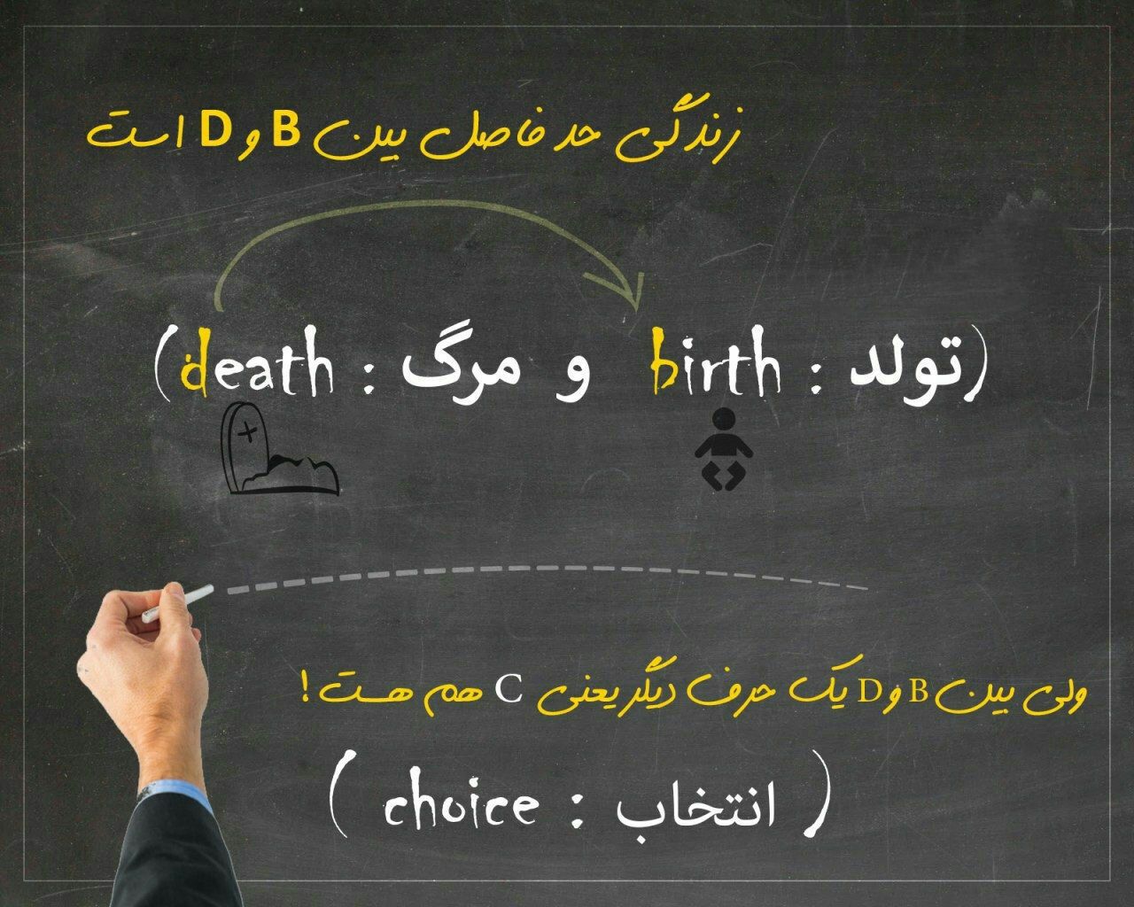 بهترین انتخاب