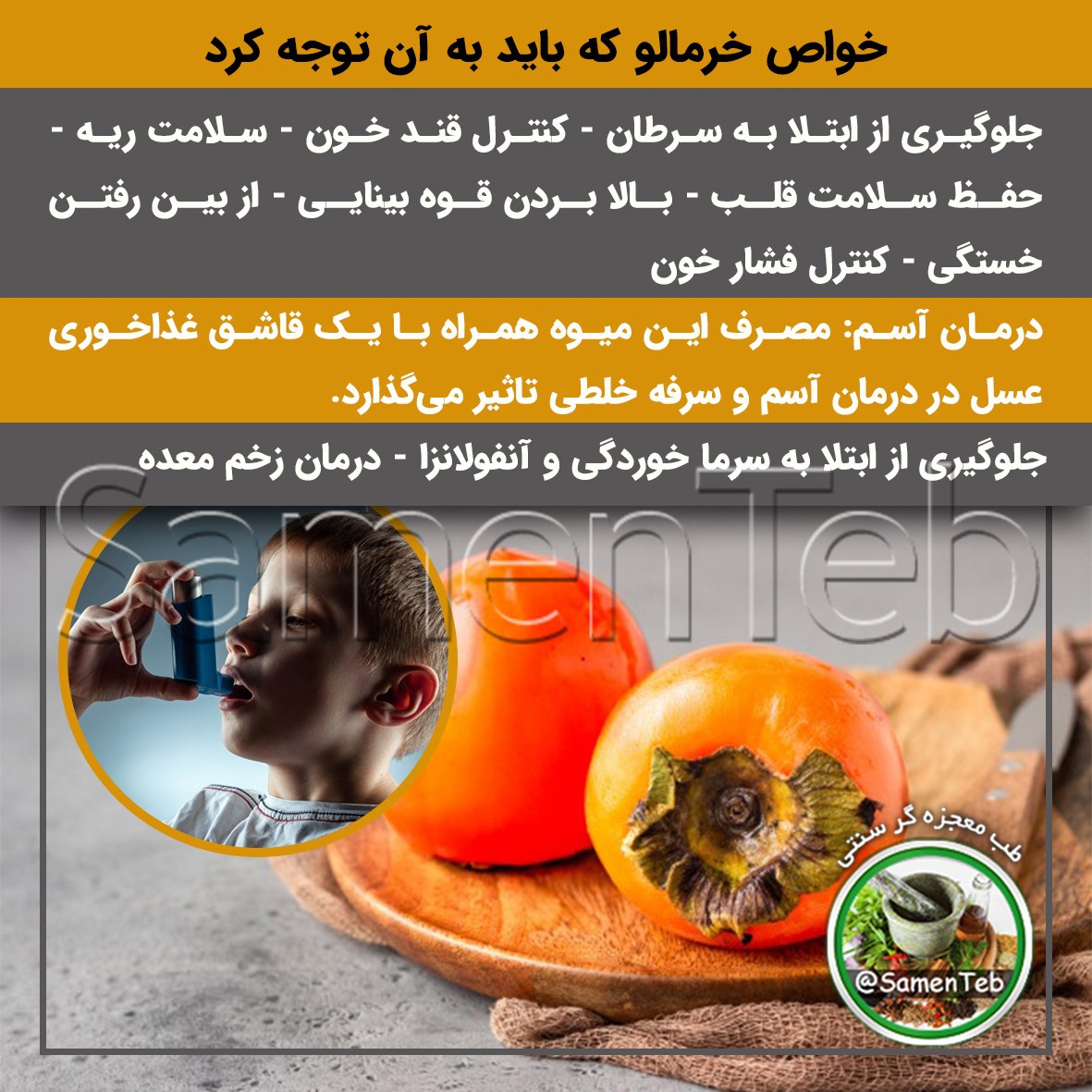 خواص خرمالو