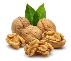 خواص گردو