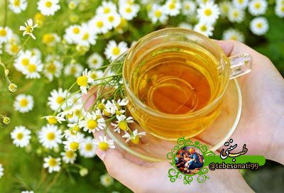 بهبود دیابت با چای بابونه 