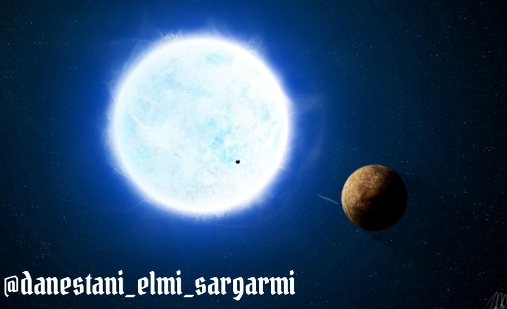 کوتوله سفید چیست
