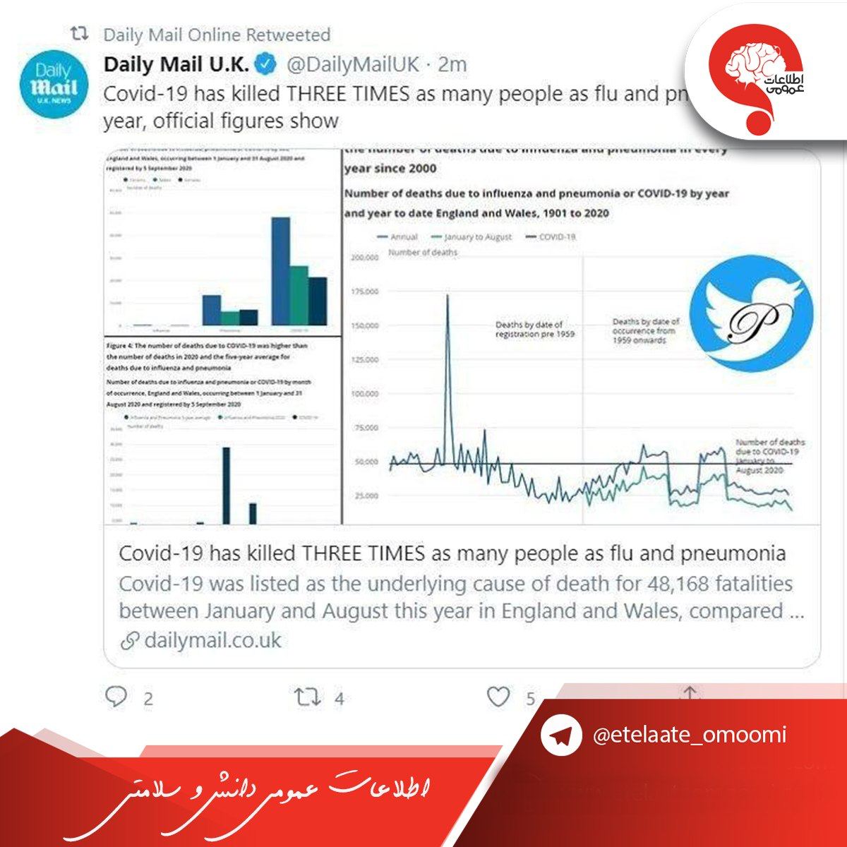 قربانیان کرونا ویروس