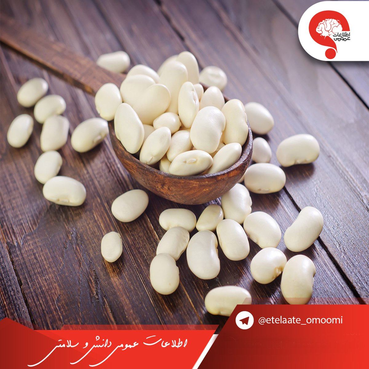 خواص لوبیا سفید