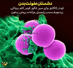 دشمنان عفونت بدن 