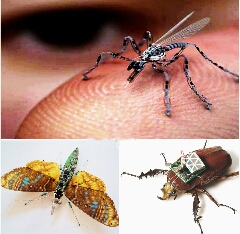 استفاده از حشرات برای جاسوسی 