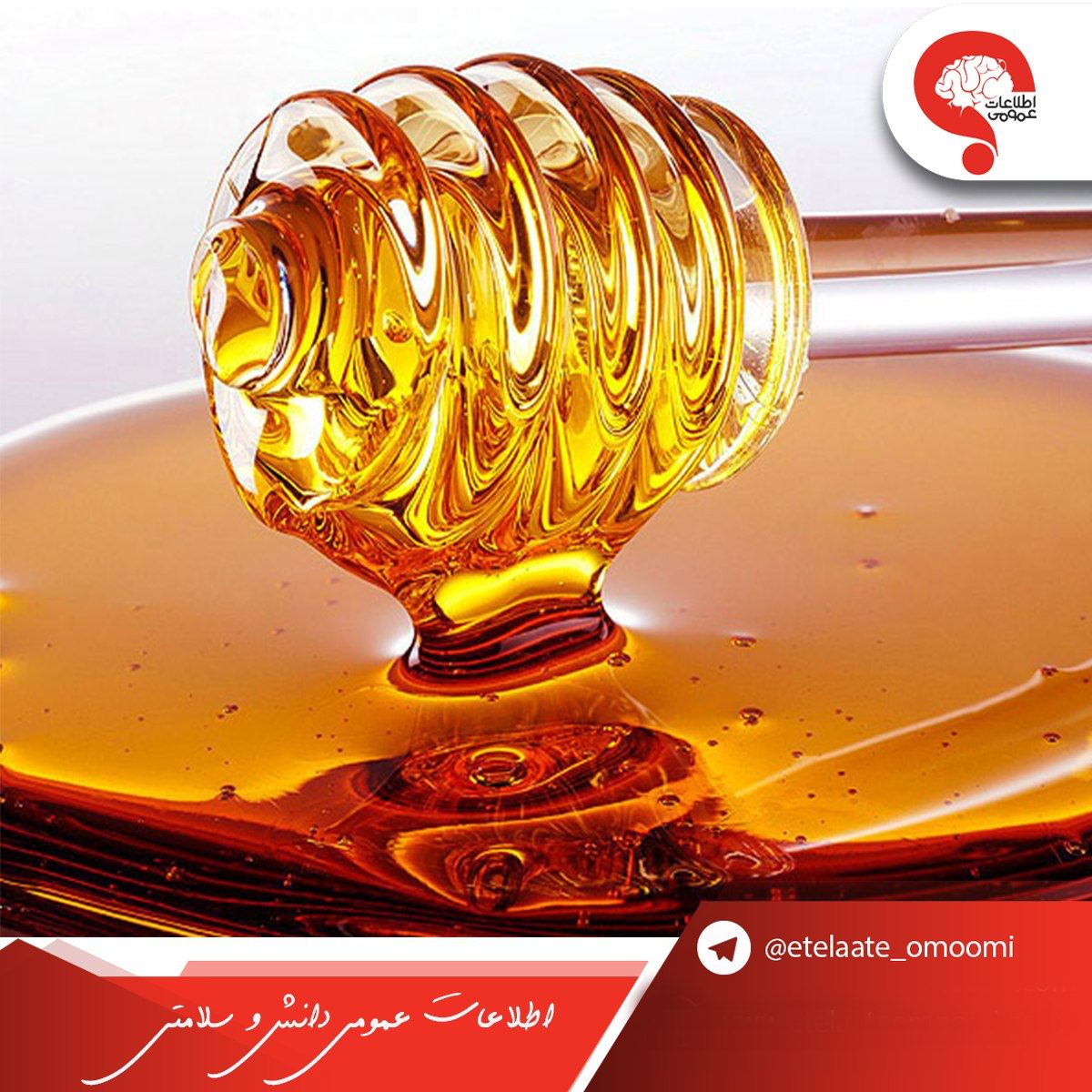 چرا عسل فاسد نمیشود 