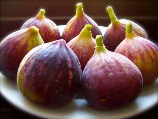 انجیر یک داروست