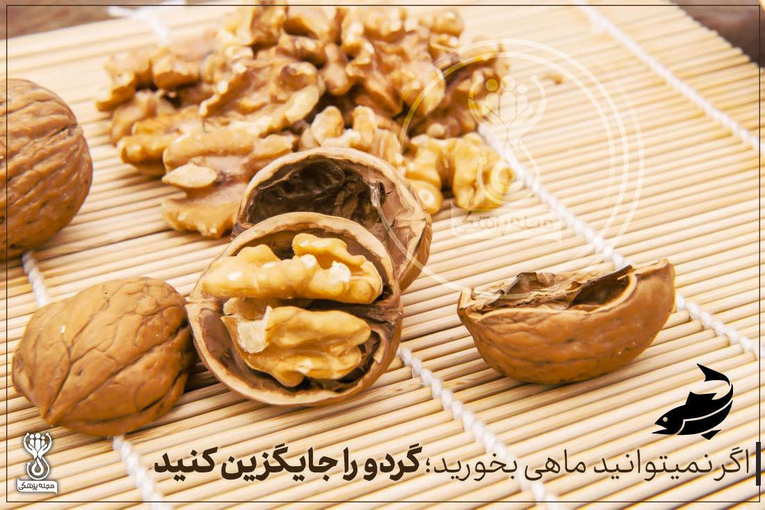 گردو جایگزین ماهی