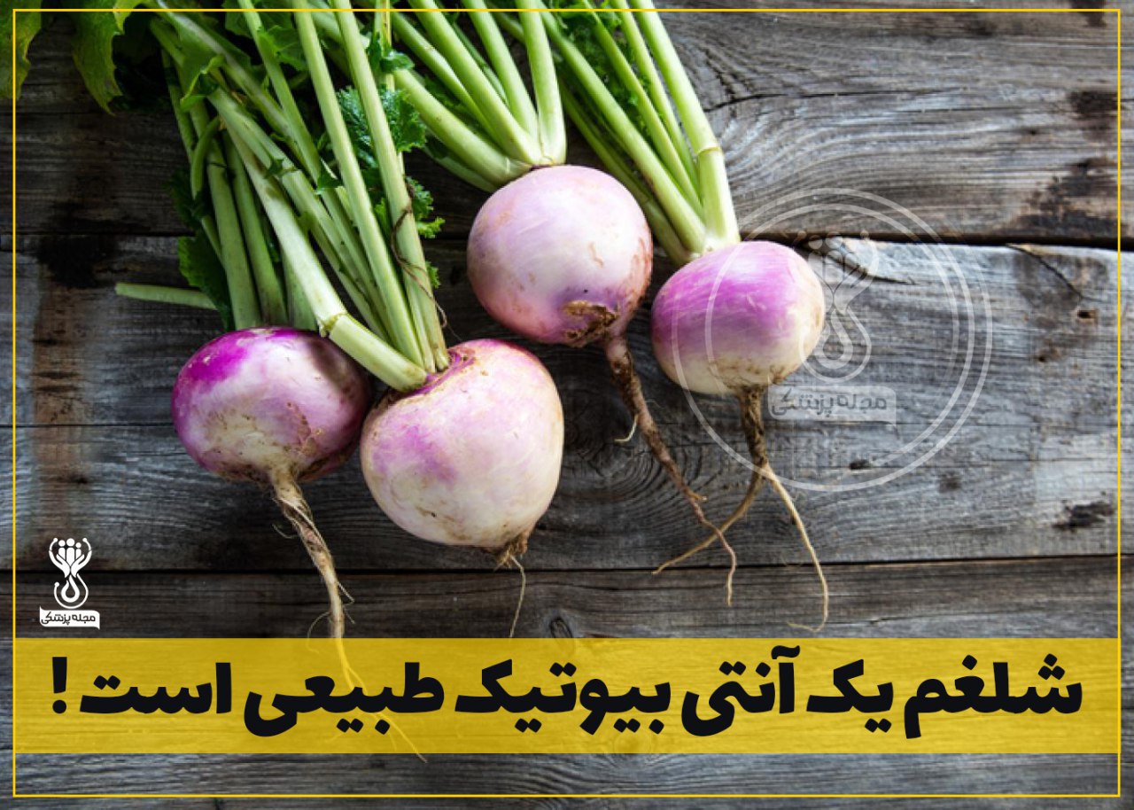 شلغم انتی بیوتیک طبیعی