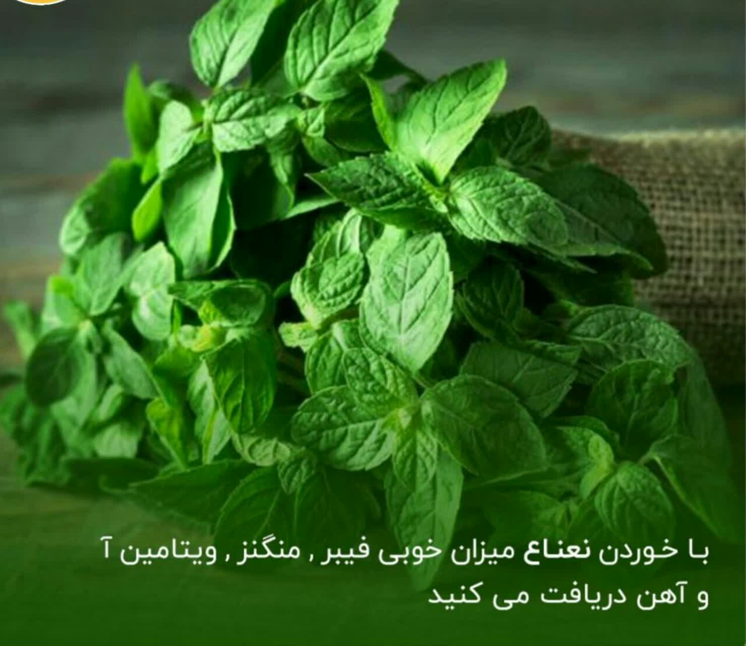 برخی خواص نعناع