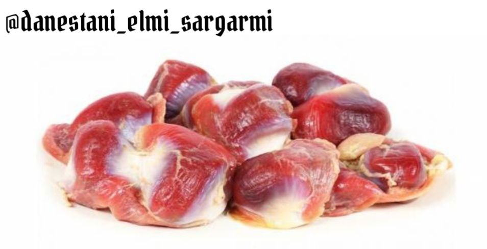 خواص سنگدان مرغ