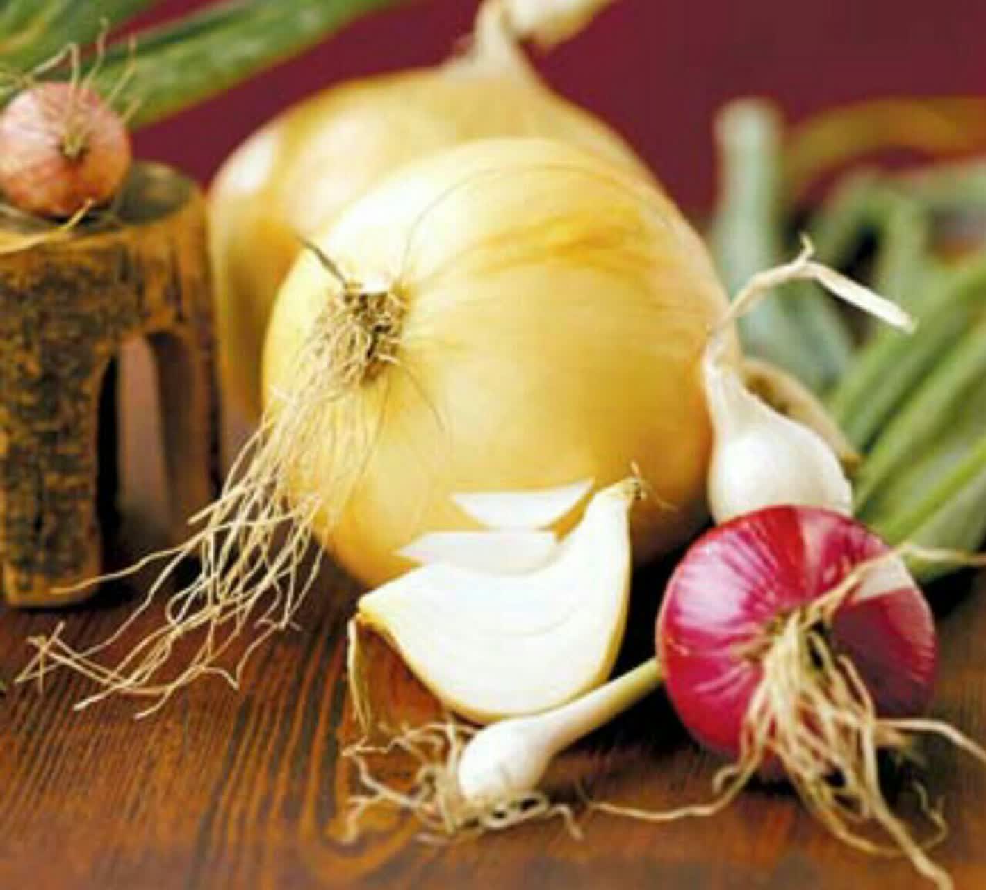 واژه (oninon) پیاز