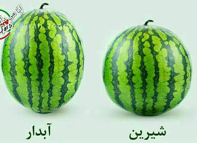 جنسیت هندوانه