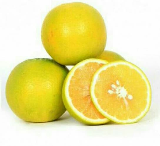 خواص لیموشیرین