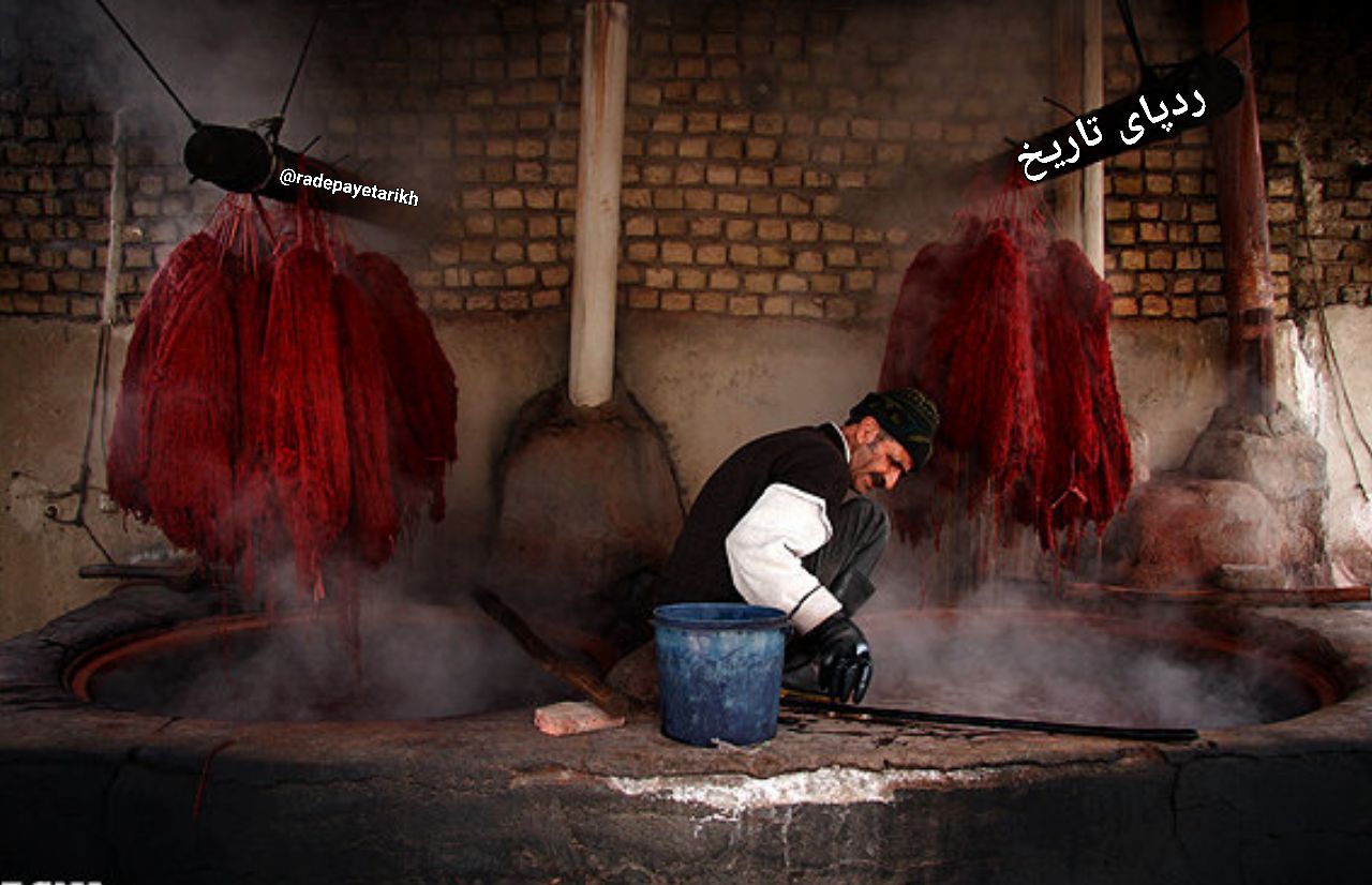 ضرب المثل زاغ سیاه کسی را چوب زدن