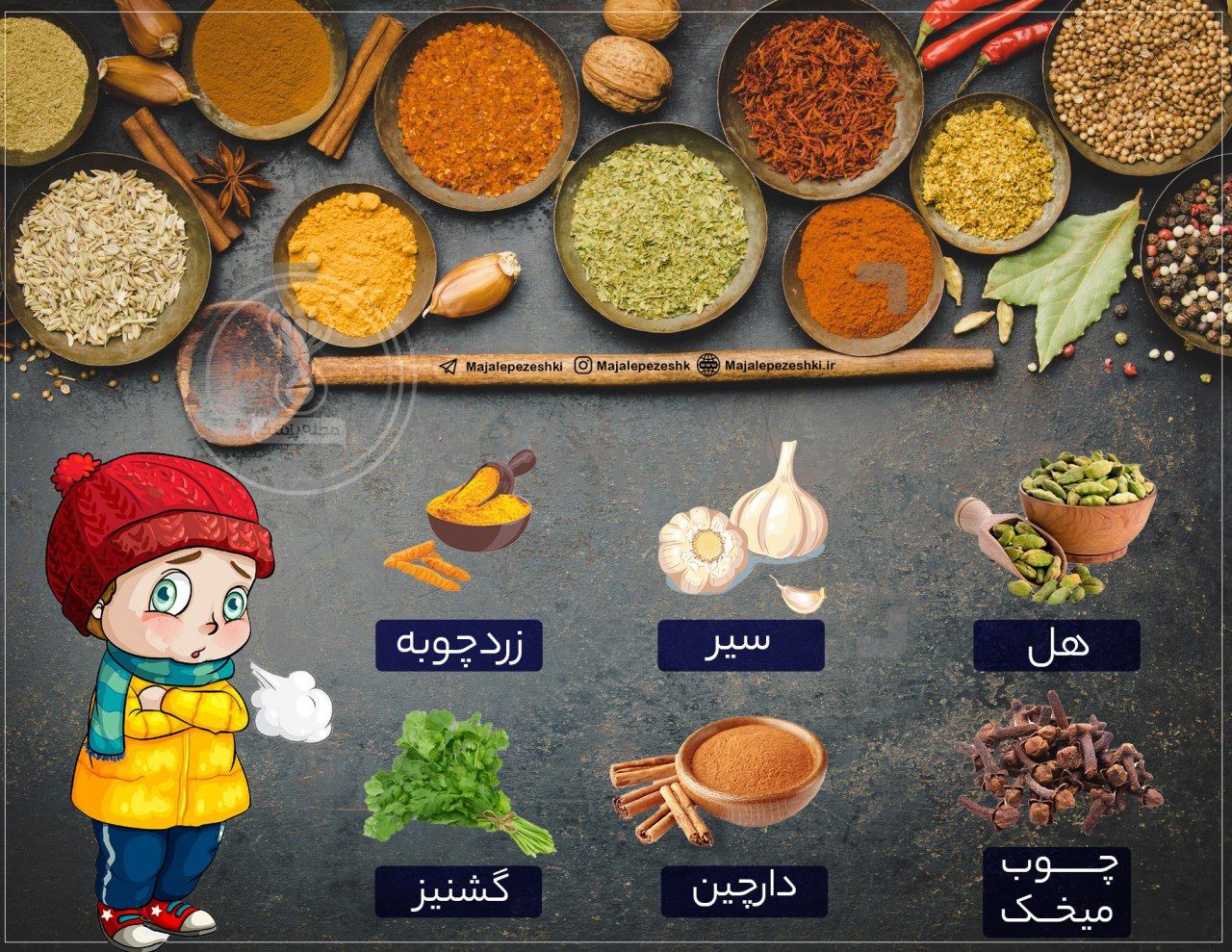 ادویه های مفید برای فصل سرما