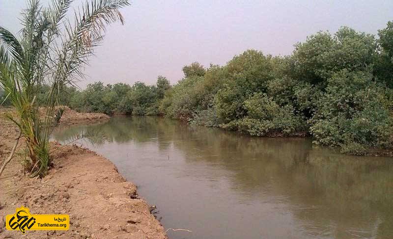رودخانه شاوور
