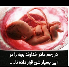 جنین درمایع بسیارشور شناور است 
