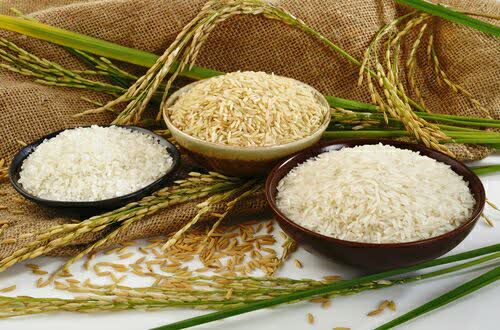 عوراض مصرف بی رویه برنج