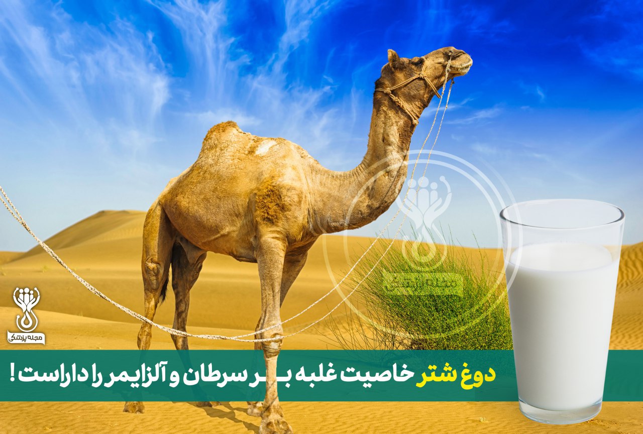 فواید دوغ شتر