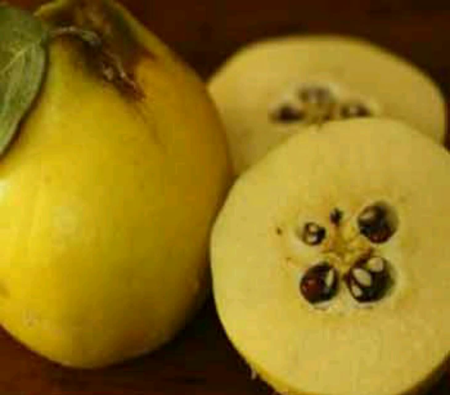 دانه به منبع بسیار خوبی از موسیلاژ