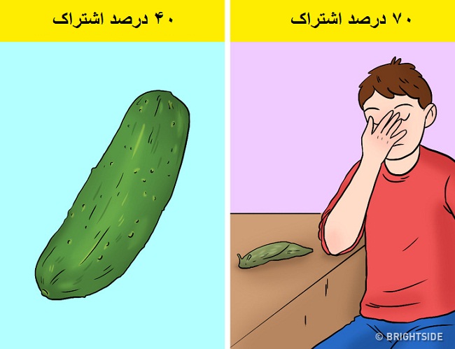شباهت بسیار زیاد دی ان ای انسان و حلزون