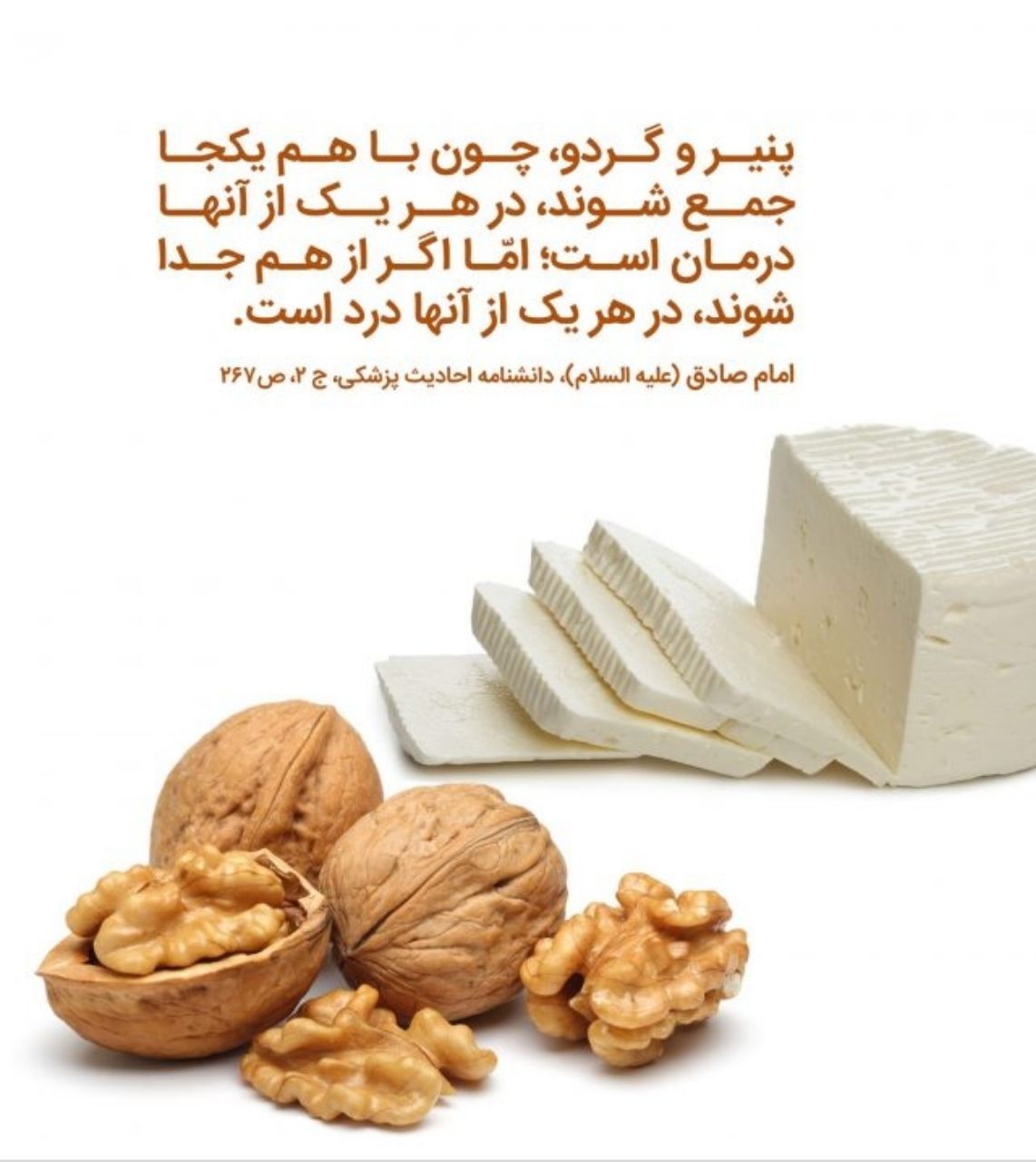 آیا پنیر، بچه را خنگ می‌کند؟