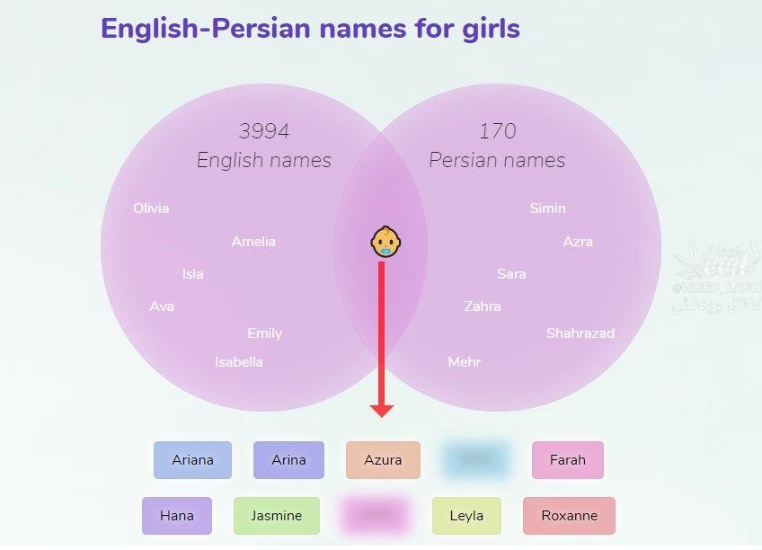 نامهایی که میان دو زبان مشترکه