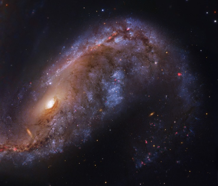 کهکشان NGC 2442 در صورت فلکی ماهی پرنده