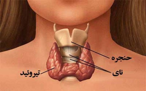 کم کاری تیروئید