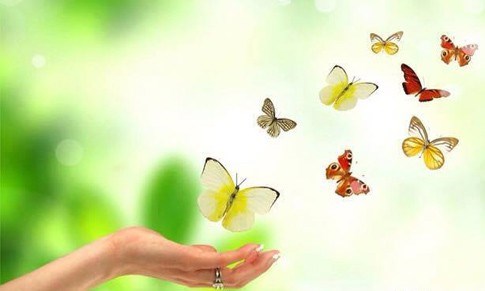 داستان کاربردی درباره تمرین مکث