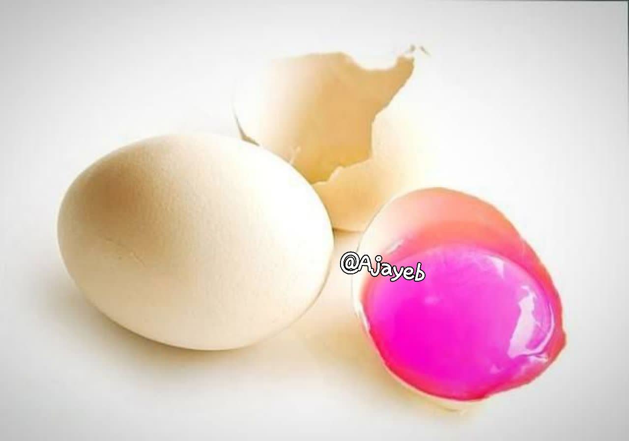 زرده تخم فلامینگوها
