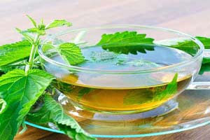 گیاه گزنه و درمان برای کم خونی