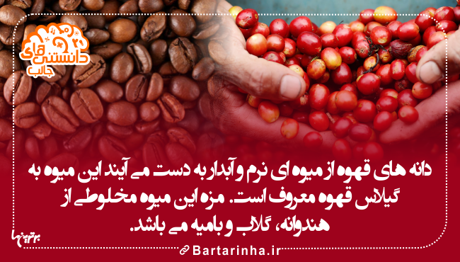میوه ای با مزه هندوانه، گلاب و بامیه