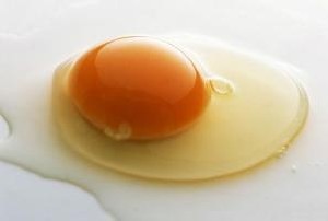 زرده تخم مرغ را از این بیماران دور کنید