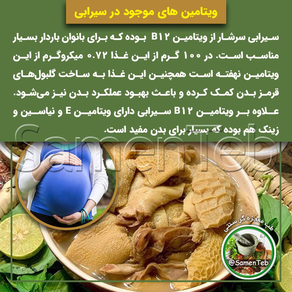 ویتامین های موجود در سیرابی
