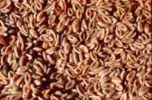 خواص بی نظیر اسپرزه