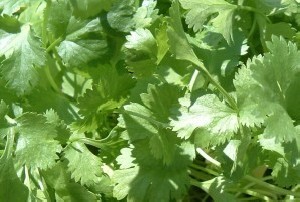 سبزی برای آرامش و ضد تشنگی