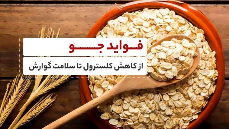 فواید جو از کاهش کلسترول