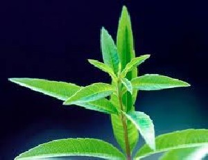 خواص به لیمو چیست