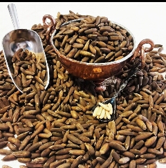 جالبه بدونید چلغوز فحش نیست