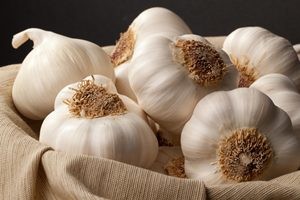 نوشیدنی برای رفع بوی بد سیر