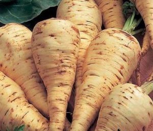خواص دارویی ریشه بهمن ویژه خانم ها!