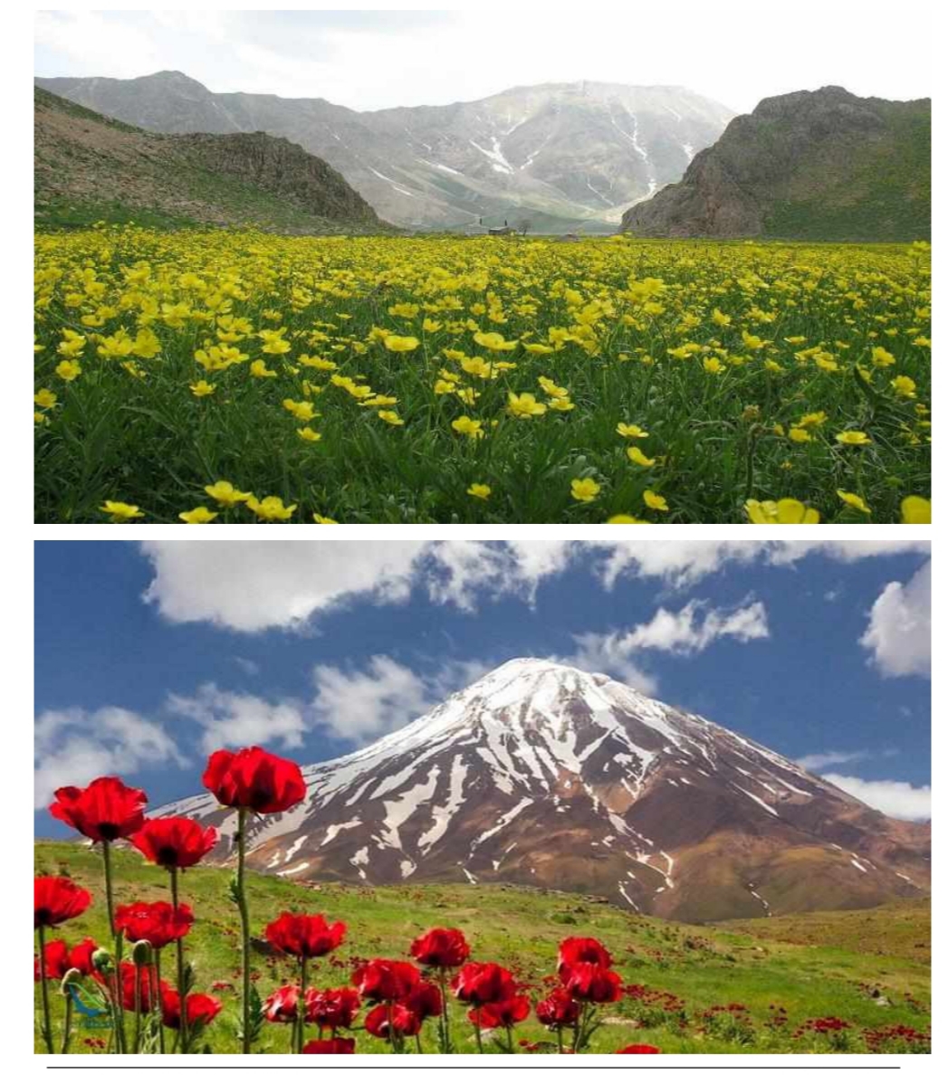 دشت لار