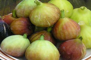 خواص درمانی انجیر را بدانید