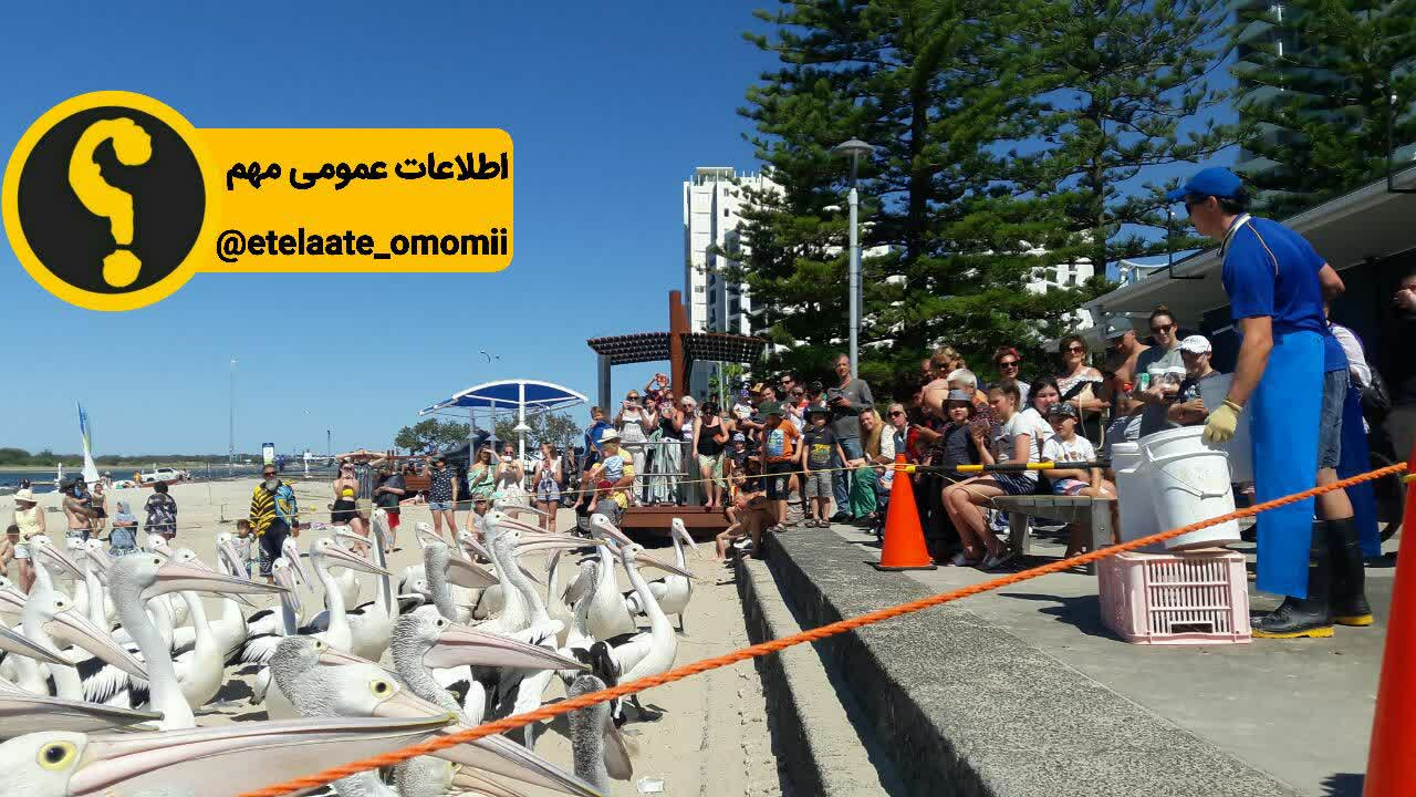 جذب گردشگر
