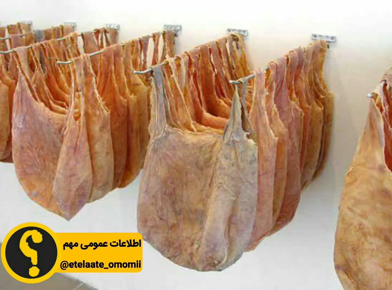 پوست انسان محصولات چرمی 