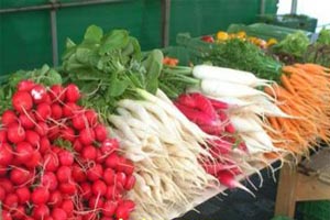 روش های ضد عفونی کردن سبزیجات