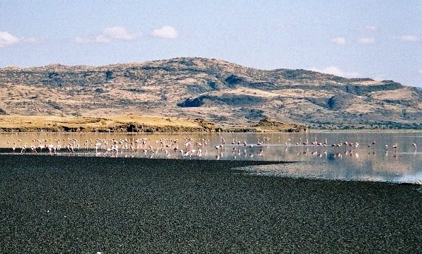 دریاچه‌ی مرگبار ناترون، تانزانیا
